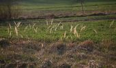 Tocht Te voet Onbekend - Planetenweg - Photo 2