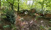 Percorso Marcia Chamarande - Forêt Départementale du Belvédère à Chamarande - Photo 17