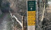 Trail  La Sône - La Sône le sentier du martin pêcheur  - Photo 10