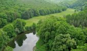 Tocht Te voet Gemeinde Hardegg - Thayatalweg - Photo 1