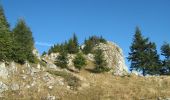 Tour Zu Fuß Unknown - Săcele - Valea Gârcin - Cabana Piatra Mare - Photo 2