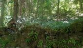 Randonnée Marche Samoëns - Samoens . gorges des tines - retour  - Photo 13