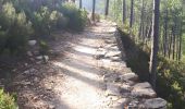 Trail Walking Conca - GR20 Etape 15 Paliri Conca - Photo 1