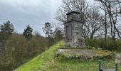 Tour Wandern Viroinval - Nismes demi boucle géologique 6,2 km - Photo 6