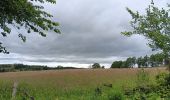 Randonnée Marche Sprimont - plain de fagne . rouge thier . adzeux - Photo 14