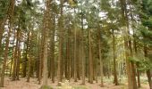 Tocht Te voet Sprimont - Panorama du Val de la Vesdre - Photo 1