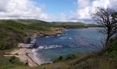 Trail Walking Le Marin - L'oeil bleu aller-retour  - Photo 3