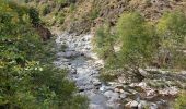 Tour Wandern Pont de Montvert - Sud Mont Lozère - arsel du pt de montvert a bedoues - Photo 4