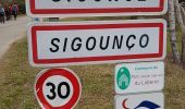 Tour Wandern Sigonce - Boucle du Grand Champ depart Sigonce 382+ - Photo 1