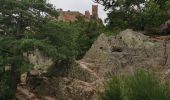 Randonnée Marche Ribeauvillé - boucle ribeauvillé-château St Ulrich-carrefour du cerisier noir-bergheim-ribeauvillé - Photo 8