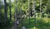 Excursión Senderismo Echternach - echternacht  tour du lac villa romaine  - Photo 2