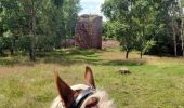 Trail Horseback riding Mollkirch - 2020-07-14 Picnic Jaegertannel Fransluhr Guirbaden  - Photo 3