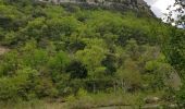 Excursión Senderismo Gréoux-les-Bains - Gréoux, le Colostre et le Verdon. - Photo 6