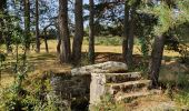 Tour Wandern La Chaise-Dieu - Folgoux - Photo 3