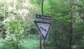 Trail On foot Eschwege - Premiumweg P3– Blaue Kuppe - Leuchtberge - Photo 10