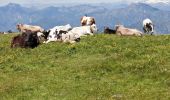 Randonnée A pied Malcesine - Sentiero delle Creste - Photo 3