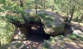 Randonnée Marche Münchweiler an der Rodalb - Felsenwald - Photo 8
