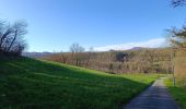 Excursión Bici de montaña Cognin-les-Gorges - Beaulieu  - Photo 5