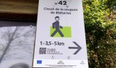 Trail Walking Brunehaut - Circuit de la coupure de Bléharies   - Photo 6