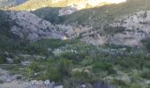 Trail Donkey back riding Tuchan - cathare 3 Tuchan Duilhac sous peyrepertuse  - Photo 1