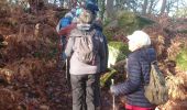 Trail Walking Fontainebleau - rocher d'Avon 13 janvier 2023  - Photo 3