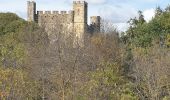 Trail Walking Castelnau-Valence - château de castelneau - Photo 1