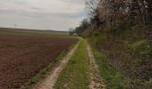 Trail Walking Boran-sur-Oise - randonnée des 3comunnes boran  morangle crouy en thelle - Photo 1