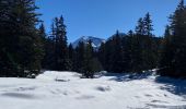 Percorso Racchette da neve Vaulnaveys-le-Haut - Lac Achard - Photo 13