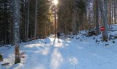 Trail Walking Malleval-en-Vercors - Patente - Photo 5