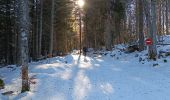 Tocht Stappen Malleval-en-Vercors - Patente - Photo 5