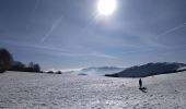 Randonnée Ski de fond Xonrupt-Longemer - sortie ski de fond les 3 fourgs 23022019 - Photo 4