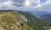 Tour Wandern Stoßweier - Gaschney Honeck - Photo 3