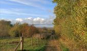 Tocht Stappen Heerlen - Langs de autoweg  - Photo 5