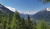 Trail Walking Chamonix-Mont-Blanc - CHAMONIX ... le chalet du Chapeau.  - Photo 6