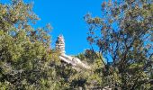 Tour Wandern La Roquebrussanne - croix de bérard. agnis - Photo 6