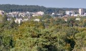 Tocht Stappen Fontainebleau - Fontainebleau Sentier Denecourt N°10 - Photo 13