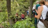 Trail Walking Miazzina - 18.06.2023 - Miazzina - Le Lac Majeur et ses alpages - Photo 14