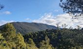 Tour Wandern Cucuron - Mourre nègre - Versand Sud depuis Cucuron - Photo 1