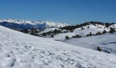 Trail Snowshoes Gréolières - GREOLIERES - Photo 3
