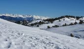 Percorso Racchette da neve Gréolières - GREOLIERES - Photo 3