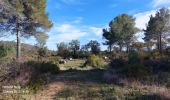 Trail Walking Le Muy - 20230312 Palayson  les plaines - Photo 2