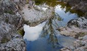 Trail Walking Fayence - St Paul en Forêt - Lac de Méaulx - Pont de l'Endre - Piste Colle Douce - Photo 6