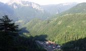 Tocht Stappen Saint-Pierre-de-Chartreuse - Peitt-Som-2022-06-19 - Photo 8