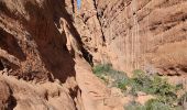 Excursión Senderismo Unknown - 2024 Arches NP Devil's garden - Photo 10