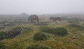 Tocht Stappen Mendionde - le mont baïgura  - Photo 20