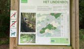 Excursión Senderismo Holsbeek - S-GR Hageland: Kortrijk-Dutsel - Leuven - Photo 20