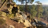 Trail Walking Fontainebleau - Fait 02/23 TB  Malmontagne + Haut Mont +  Long Rocher  - Photo 2