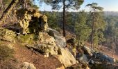 Tour Wandern Fontainebleau - Fait 02/23 TB  Malmontagne + Haut Mont +  Long Rocher  - Photo 2