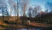 Tocht Mountainbike Virton - Bois de Virton II  -  Balade_VTT_19kms - Photo 17