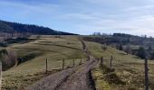 Tour Wandern Bliensbach - 2020-02-15 Marche Blancherupt Perheux - Photo 6